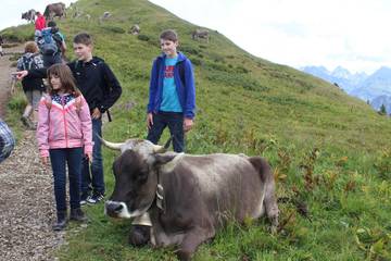 Bergtour (2014) 18