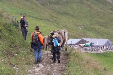 Bergtour (2014) 5