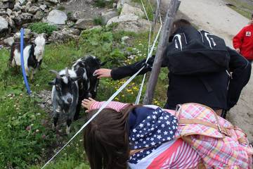 Bergtour (2014) 32