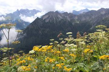 Bergtour (2014) 7