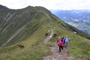 Bergtour (2014) 29