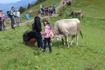 Bergtour (2014) 8
