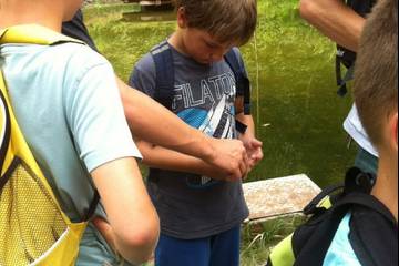 Geocaching 2016 5