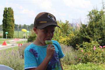 Minigolf (2014) 12