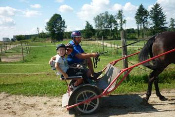 Pferdehof 2016 4