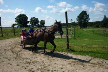 Pferdehof 2016 22