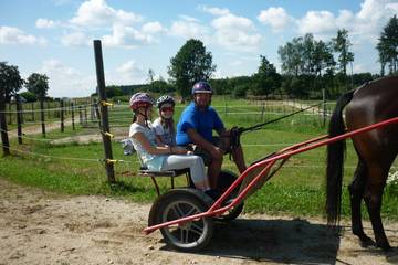Pferdehof 2016 7