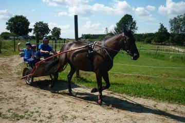 Pferdehof 2016 8