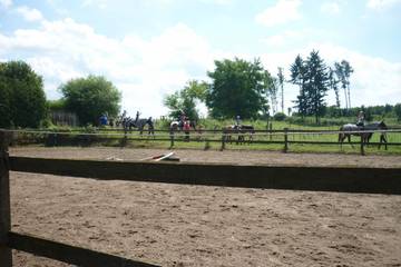 Pferdehof 2016 26