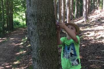 Spuren legen im Wald 2020 9