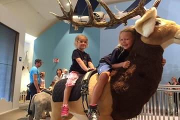 Steiffmuseum 2016 52