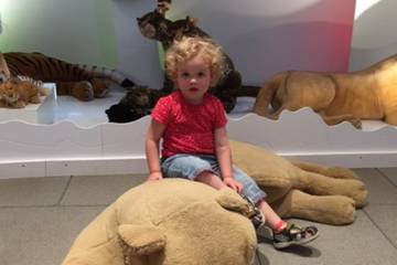 Steiffmuseum 2016 22