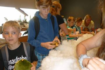 Steiffmuseum 2016 2
