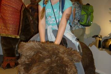 Steiffmuseum 2016 12