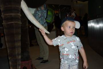Steiffmuseum 2016 1