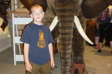 Steiffmuseum 2016 23