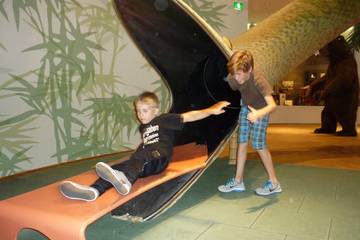 Steiffmuseum 2016 46