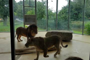 Zoo 2016 27