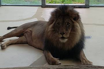 Zoo 2016 58