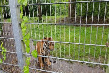 Zoo 2016 1