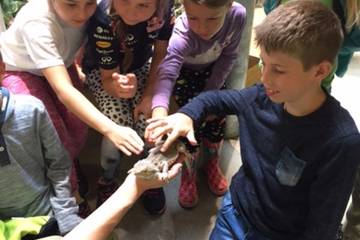 Zoo 2016 50