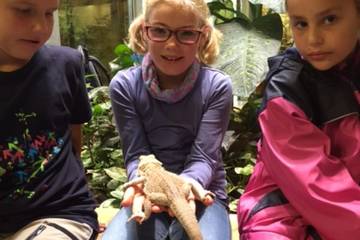 Zoo 2016 39