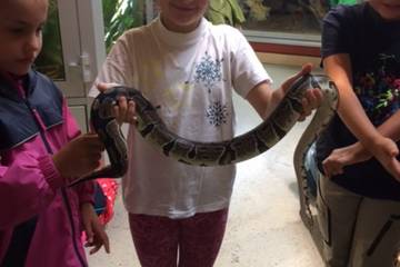 Zoo 2016 5