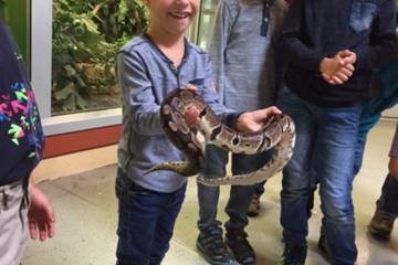 Zoo 2016 14
