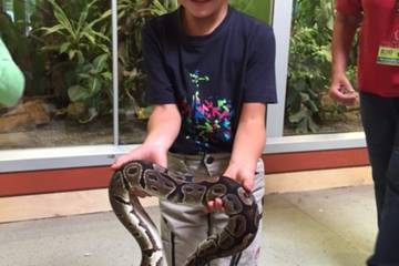 Zoo 2016 53