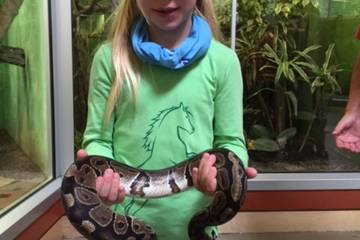 Zoo 2016 17