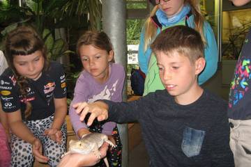 Zoo 2016 55