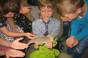 Zoo 2016 34