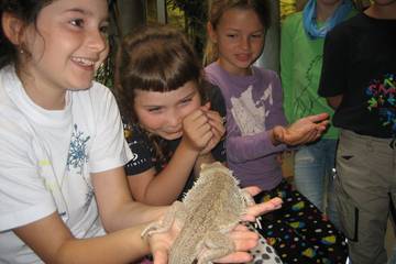 Zoo 2016 44