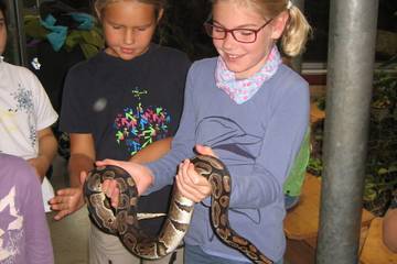 Zoo 2016 32