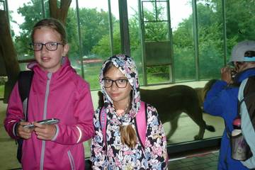 Zoo 2016 12