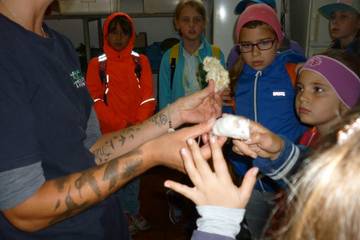 Zoo 2016 26