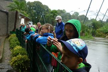Zoo 2016 52