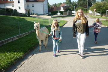 Wanderung mit Alpakas 3.9.2019 13