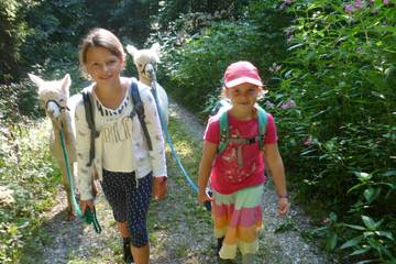Wanderung mit Alpakas 3.9.2019 33