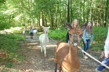 Wanderung mit Alpakas 3.9.2019 14