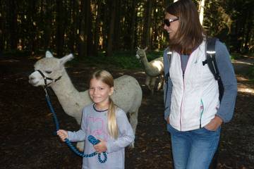 Wanderung mit Alpakas 3.9.2019 29