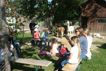 Wanderung mit Alpakas 3.9.2019 35
