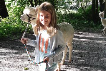 Wanderung mit Alpakas 5.9.2019 13