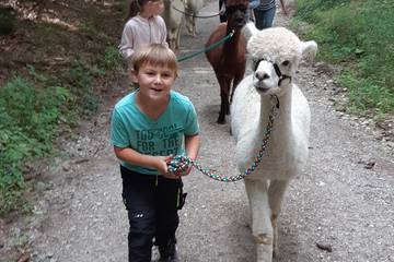 Wanderung mit Alpakas 5.9.2019 26