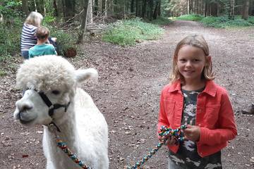 Wanderung mit Alpakas 5.9.2019 34