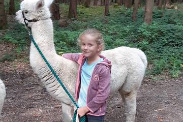 Wanderung mit Alpakas 5.9.2019 28