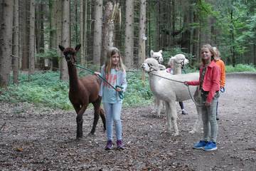 Wanderung mit Alpakas 5.9.2019 33