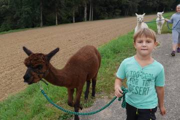 Wanderung mit Alpakas 5.9.2019 7