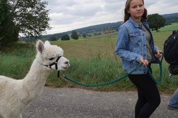 Wanderung mit Alpakas 5.9.2019 23