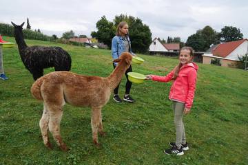 Wanderung mit Alpakas 5.9.2019 11